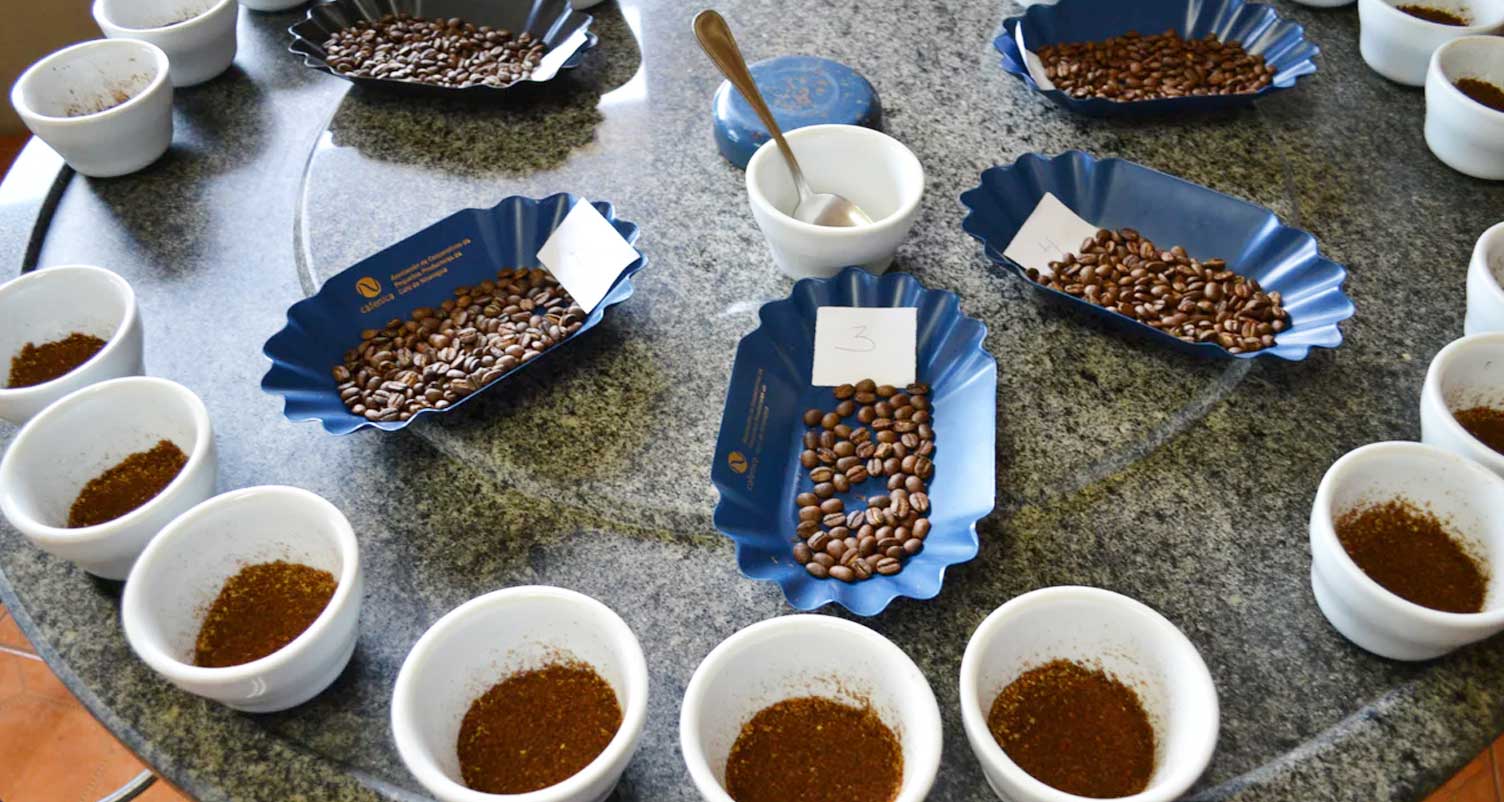 coffee beans in bowls on display for quality testing.